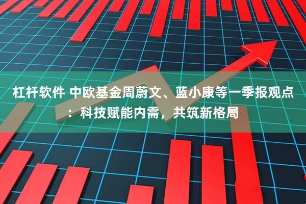 杠杆软件 中欧基金周蔚文、蓝小康等一季报观点：科技赋能内需，共筑新格局