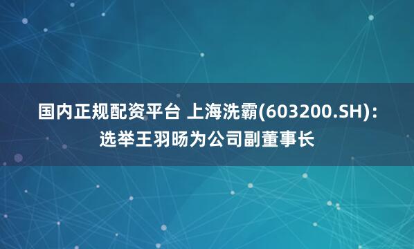 国内正规配资平台 上海洗霸(603200.SH)：选举王羽旸为公司副董事长