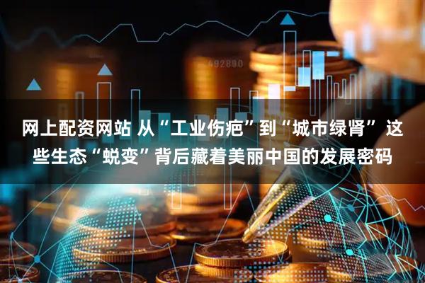网上配资网站 从“工业伤疤”到“城市绿肾” 这些生态“蜕变”背后藏着美丽中国的发展密码